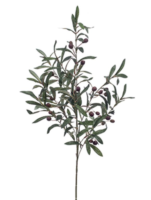 Epipremnum Pinnatum Global Green blad