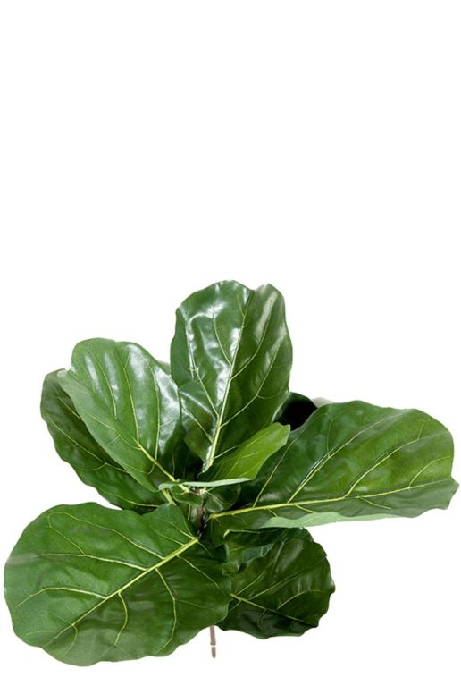 Ficus lyrata kunstplant