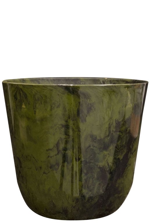 Epipremnum Pinnatum Global Green