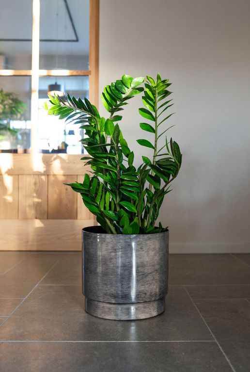 Rens metaal grijs pot