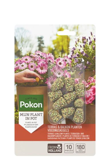 Pokon-terrace-balcony-plantation-nutrition-cone-10pcs