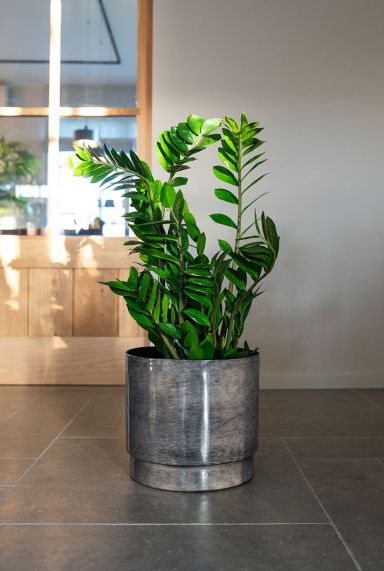 Rens metaal grijs pot 1