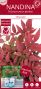 Syngonium Red Spot blad