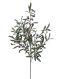 Epipremnum Pinnatum Global Green blad