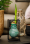 Amaryllis industrial groen sfeer
