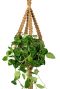 Corde de plante macreme