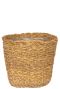 Grand beau panier de plantes