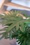 Philodendron kunstplant blad