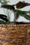 Plantenmand bruin 1