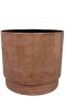 Syngonium Red Spot blad